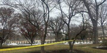 Teen arrested after approaching U.S. Capitol with loaded shotgun