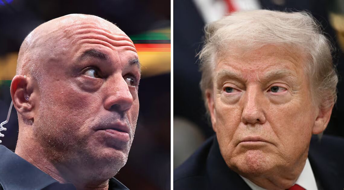 Trump Cornered on Joe Rogan’s ‘Gestapo’ Comments About ICE