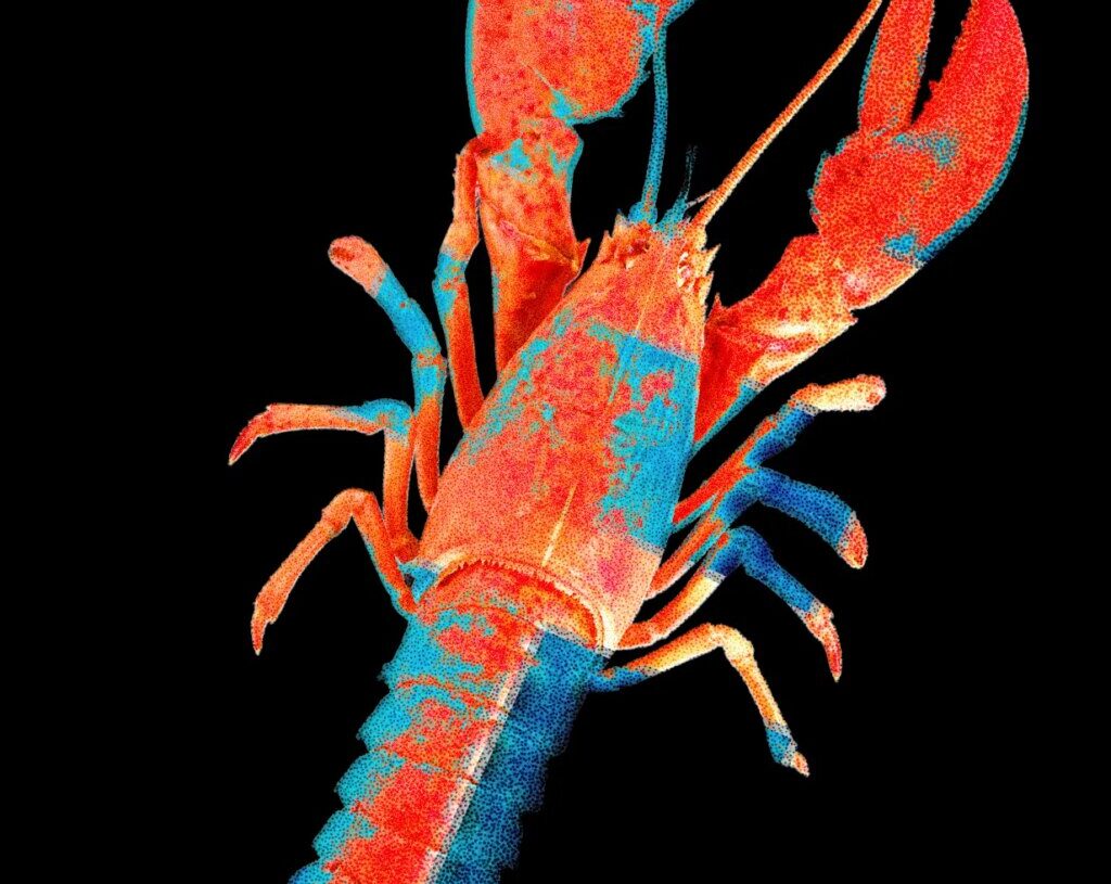 Moltbook, the Social Network for AI Agents, Exposed Real Humans’ Data