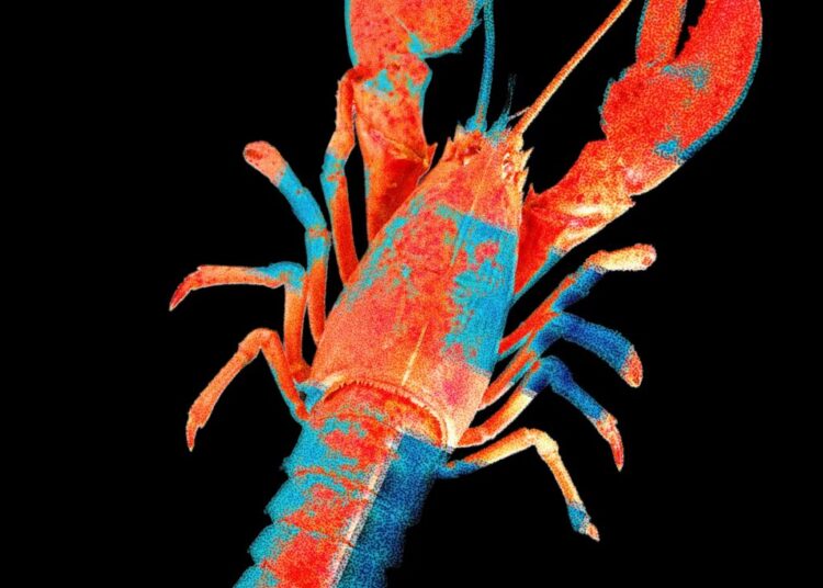 Moltbook, the Social Network for AI Agents, Exposed Real Humans’ Data