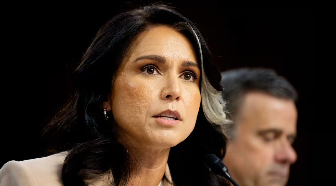 Gabbard Accused of Stalling Secret Whistleblower Complaint About Her