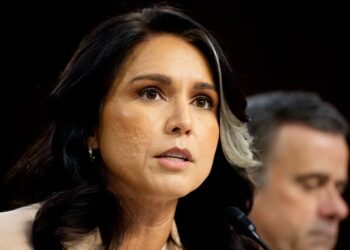 Gabbard Accused of Stalling Secret Whistleblower Complaint About Her