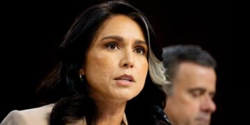 Gabbard Accused of Stalling Secret Whistleblower Complaint About Her