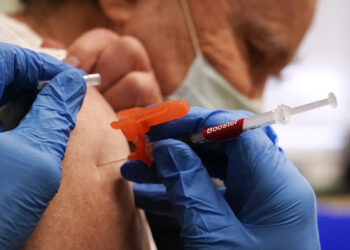 Where to find evidence-based adult vaccine recommendations