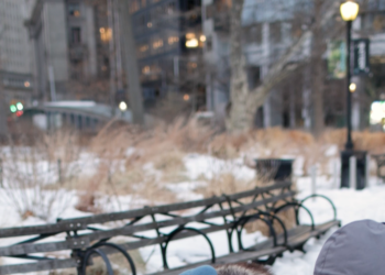 Manhattan’s Only Wild Turkey Has Her Own Entourage