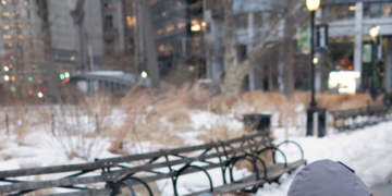 Manhattan’s Only Wild Turkey Has Her Own Entourage