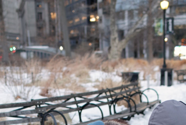 Manhattan’s Only Wild Turkey Has Her Own Entourage