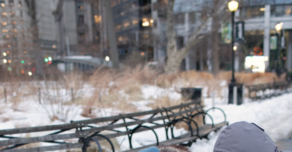 Manhattan’s Only Wild Turkey Has Her Own Entourage