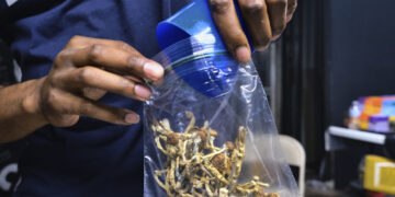 The alarming trend of psychedelic microdosing