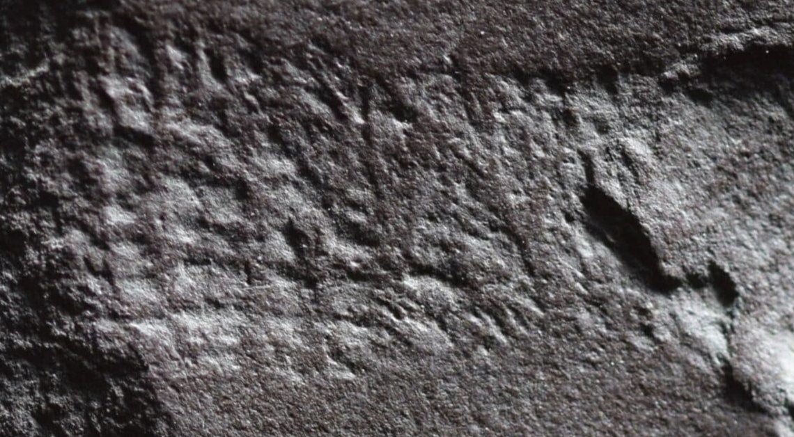 The Oldest Butthole Ever Found Is a 290-Million-Year-Old Fossil