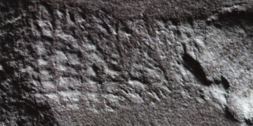 The Oldest Butthole Ever Found Is a 290-Million-Year-Old Fossil