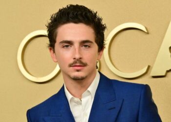 Timothée Chalamet Calls Out Unnamed Actor for Dissing His Acting Skills: ‘The Guy Was a Punk’