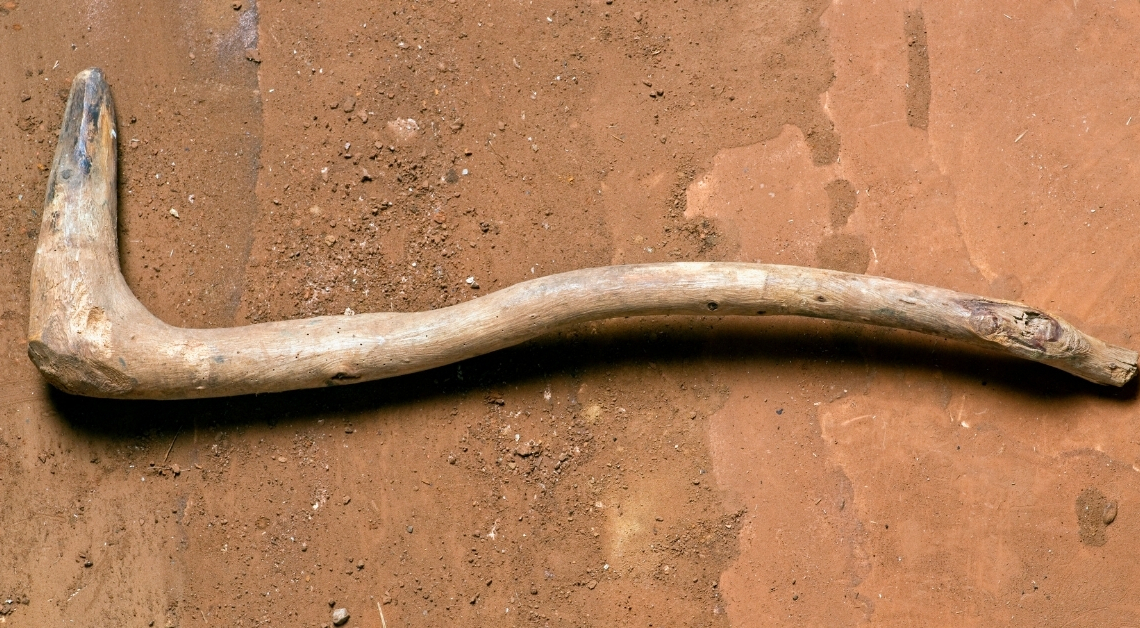 These 500,000-Year-Old Wooden Tools Are the Oldest Ever Discovered