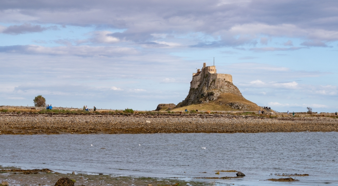 This Freaky 350-Million-Year-Old ‘Smiling’ Fossil Isn’t What It Seems