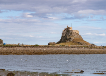 This Freaky 350-Million-Year-Old ‘Smiling’ Fossil Isn’t What It Seems