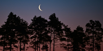 Tonight’s Moon Phase: February 12, 2026