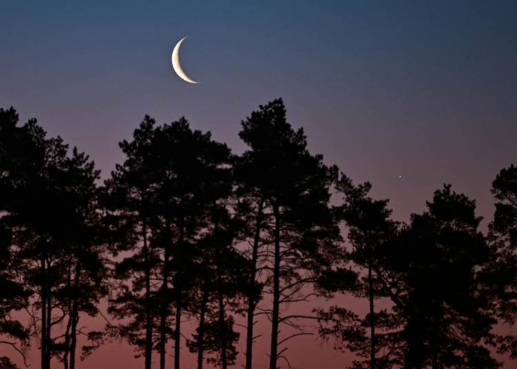 Tonight’s Moon Phase: February 12, 2026