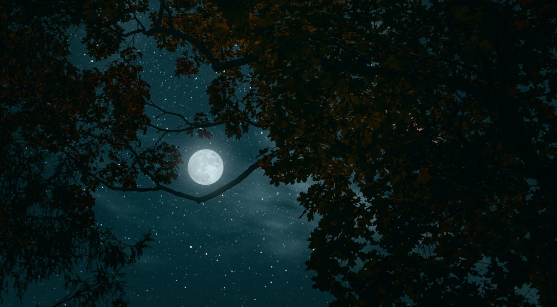 Tonight’s Moon Phase: February 17, 2026