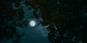 Tonight’s Moon Phase: February 17, 2026