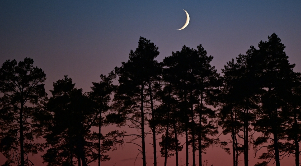 Tonight’s Moon Phase: February 19, 2026