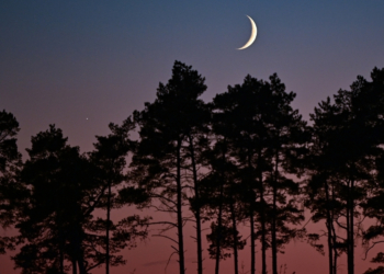 Tonight’s Moon Phase: February 19, 2026