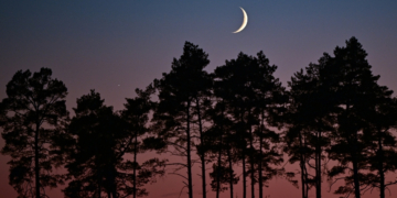 Tonight’s Moon Phase: February 19, 2026