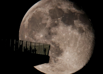 Tonight’s Moon Phase: February 3, 2026