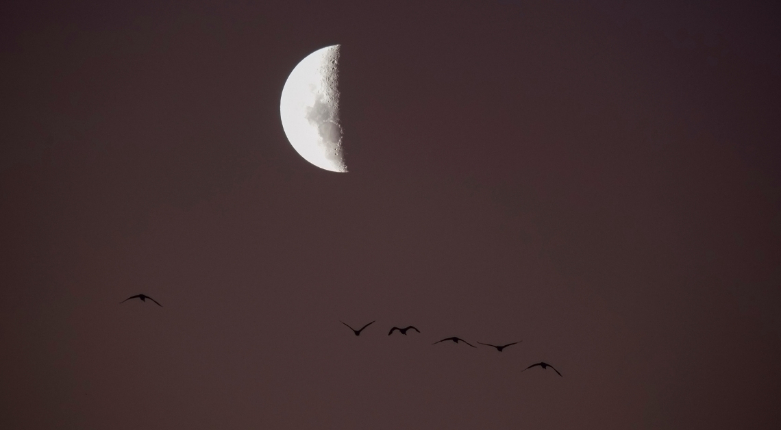 Tonight’s Moon Phase: February 9, 2026