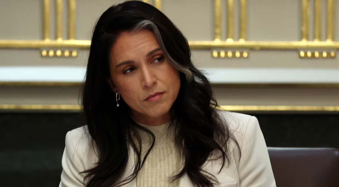 Tulsi Gabbard Offers Bonkers Reason for Her Presence at FBI Ballot Raid