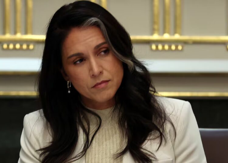 Tulsi Gabbard Offers Bonkers Reason for Her Presence at FBI Ballot Raid