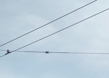 Did That Bald Head Get Your Attention? One Start-Up Hopes So.