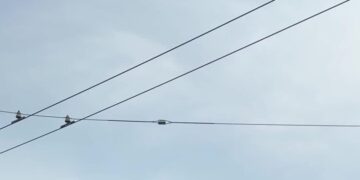 Did That Bald Head Get Your Attention? One Start-Up Hopes So.