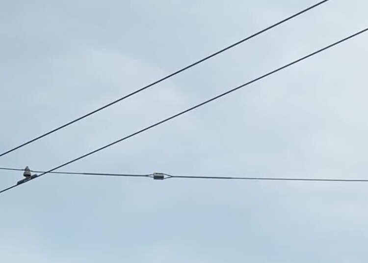 Did That Bald Head Get Your Attention? One Start-Up Hopes So.