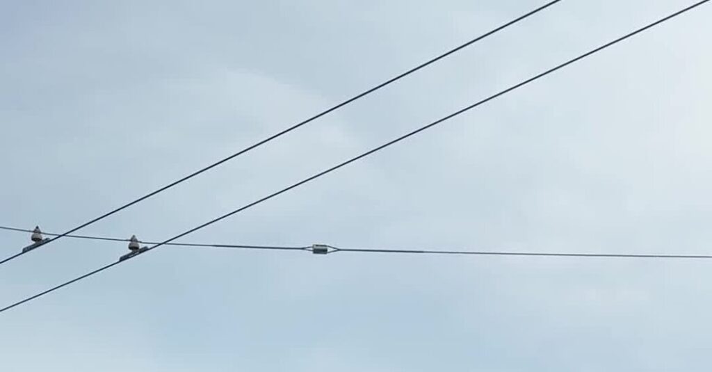 Did That Bald Head Get Your Attention? One Start-Up Hopes So.