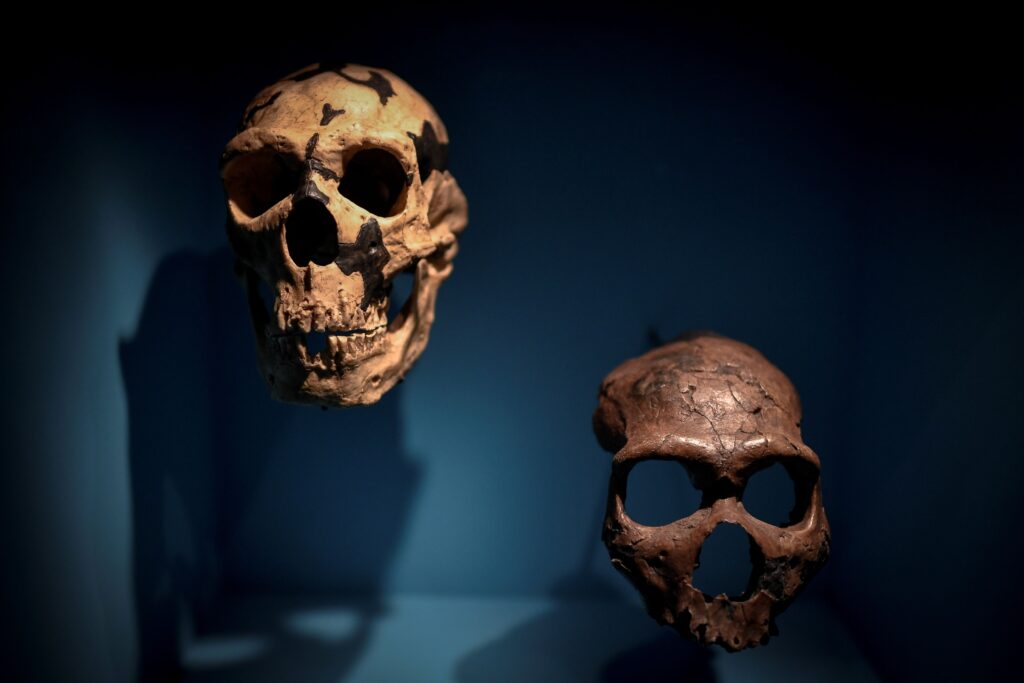 Neanderthal males and human females had babies together, ancient DNA reveals
