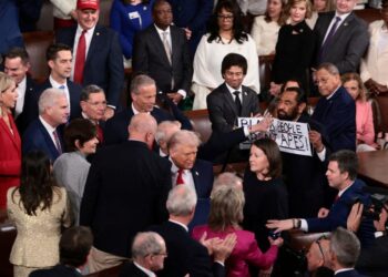 Al Green kicked out of State of the Union after holding sign protesting Trump