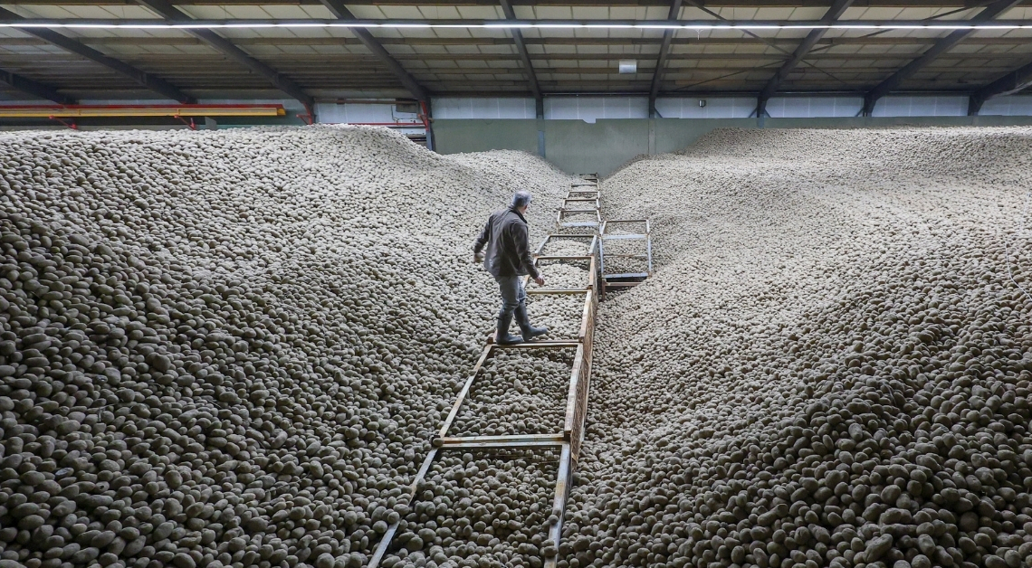 Why Germany Is Giving Away So Many Free Potatoes, Explained