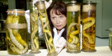 Why Scientists Just Shot Lasers at Charles Darwin’s Priceless Specimens