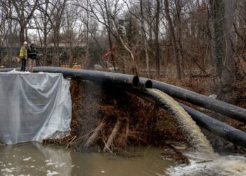 Trump suggests agencies to aid in Potomac rehab after Bowser ‘politely’ asks