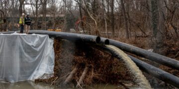 Trump suggests agencies to aid in Potomac rehab after Bowser ‘politely’ asks