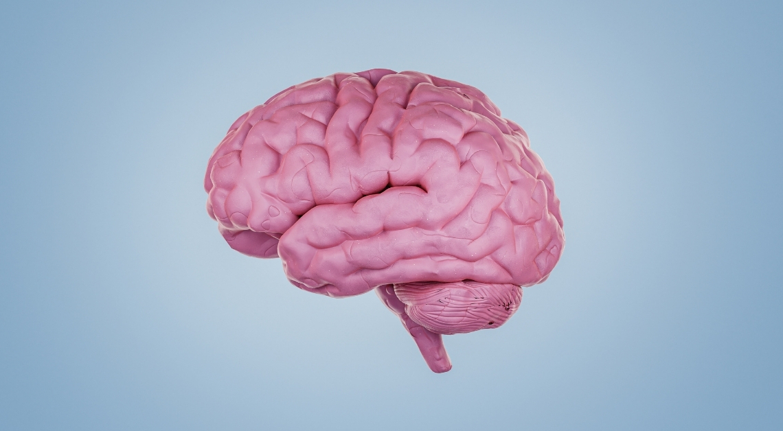 Your Brain Doesn’t Stop Developing at 25, It Keeps Changing Until This Age