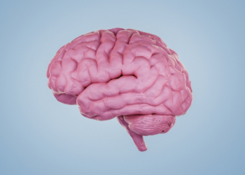 Your Brain Doesn’t Stop Developing at 25, It Keeps Changing Until This Age