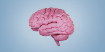 Your Brain Doesn’t Stop Developing at 25, It Keeps Changing Until This Age