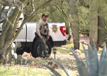 ‘Unbelievable’: Possible new evidence in Nancy Guthrie kidnapping discovered near her home