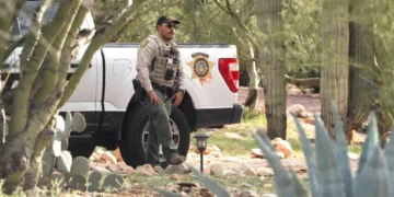 ‘Unbelievable’: Possible new evidence in Nancy Guthrie kidnapping discovered near her home