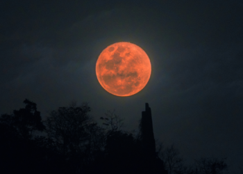 A Rare Blood Moon Eclipse Is Coming: Here’s How to See It