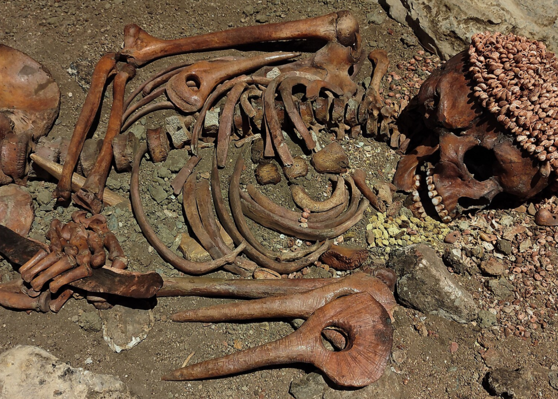 A Teenager’s 28,000-Year-Old Burial Tells the Story of a Brutal Bear Attack