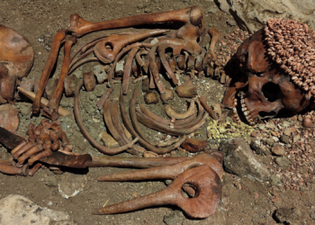 A Teenager’s 28,000-Year-Old Burial Tells the Story of a Brutal Bear Attack