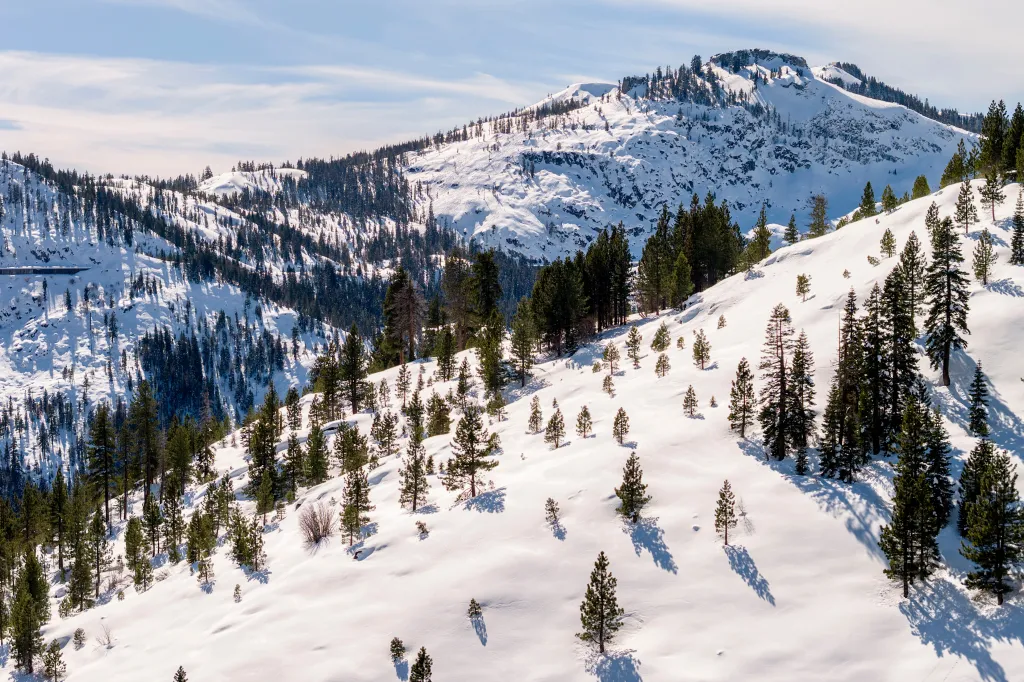 Aerial view of snow-capped Tahoe National Forest in Truckee, California.