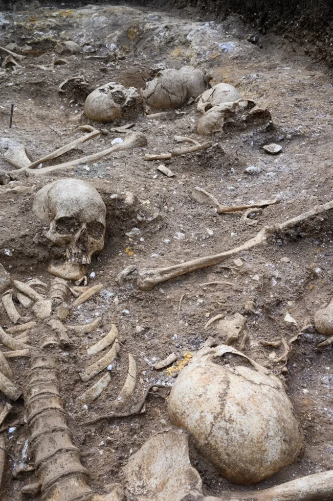 Human skeletons unearthed in a burial site.